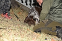 VBS_6455 - Inaugurazione Stagione 2022-23 Simulazione Ricerca Tartufo